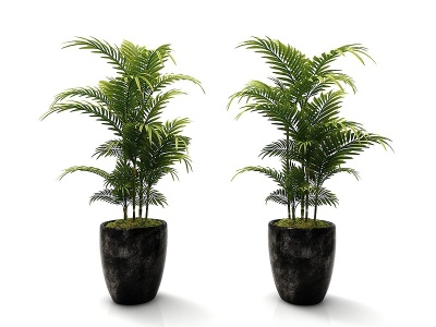 现代风格植物花盆3d模型