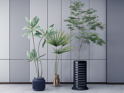 现代盆栽花瓶模型3d模型