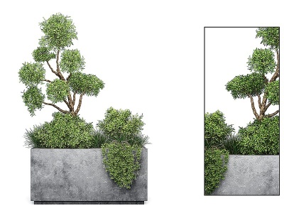 现代绿植盆栽花槽模型