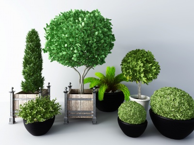 3d现代户外绿植盆栽模型