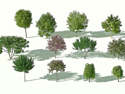 3d现代花树模型
