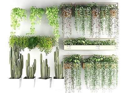 花槽阳台植物绿植模型3d模型