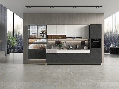 3d现代厨房壁柜模型