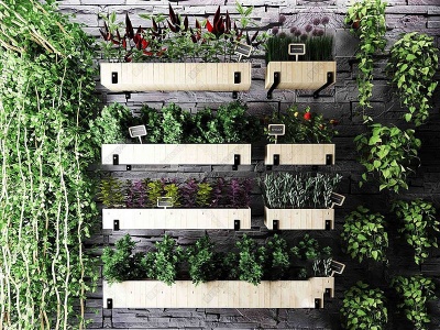 3d简欧植物墙盆栽绿植模型