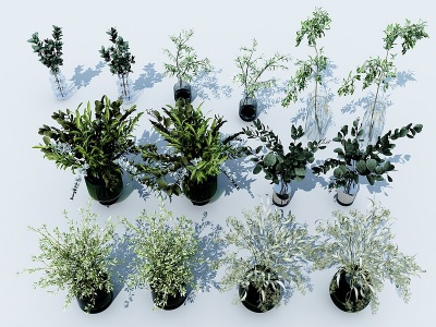 现代盆栽盆景绿植模型3d模型