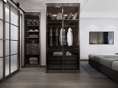 3d现代卧室衣柜模型
