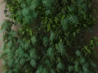 现代植物绿植墙藤蔓模型