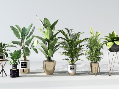现代植物盆栽花盆绿植模型