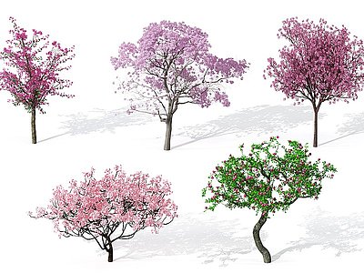 景观植物树模型3d模型