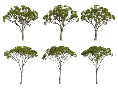 3d<font class='myIsRed'>现代</font>乔木树木模型