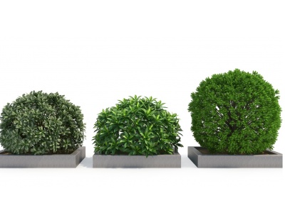 3d室外绿植球灌木模型