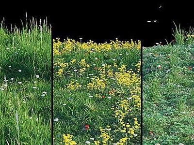 3d草地植物园艺小品模型