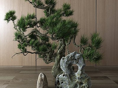 中式植物盆景树模型