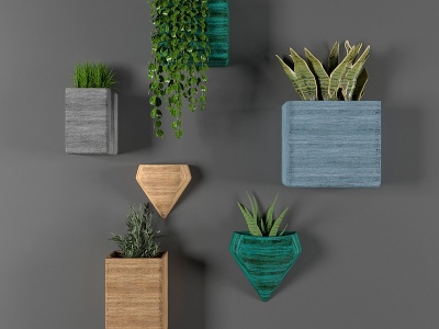3d现代盆栽植物墙饰模型