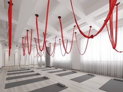 健身瑜伽房3d模型