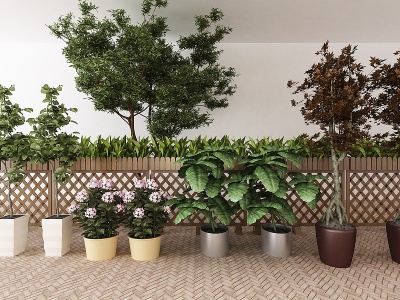 现代植物盆栽树组合模型