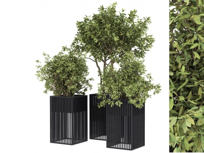 现代绿植盆栽组合模型