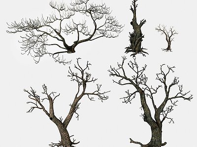 3d枯树<font class='myIsRed'>枯枝</font>树干木头景观树模型