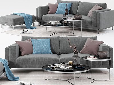 3d现代布艺沙发茶几饰品组合模型