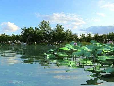 中式荷花湿地水草树荷塘模型