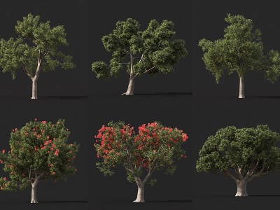 现代景观树花树庭院树模型3d模型