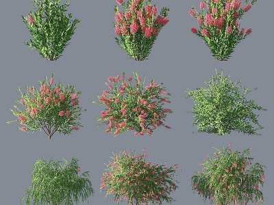 现代绿植灌木模型3d模型