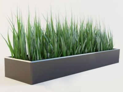3d现代植物模型