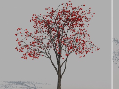 3d柿子树乔木植物景观树果树模型