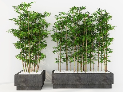 3d新中式竹子盆栽竹林造景模型