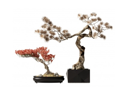 新中式植物盆栽模型3d模型
