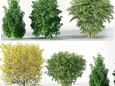 现代景观园林植物树矮树模型3d模型
