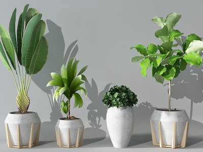 3d植物盆栽花盆绿植模型