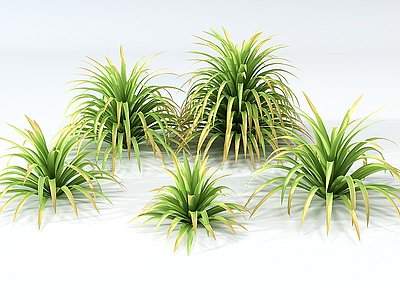 3d现代热带植物<font class='myIsRed'>草</font>模型