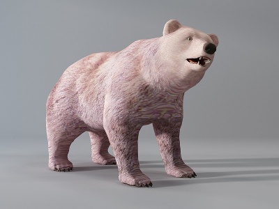 现代狗熊动物模型3d模型
