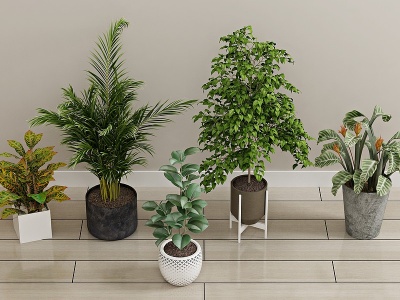 现代绿植盆栽植物模型