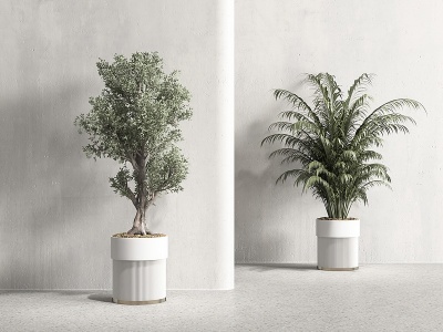 3d现代盆栽景观模型