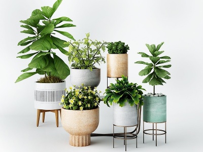 3d现代盆栽组合植物模型