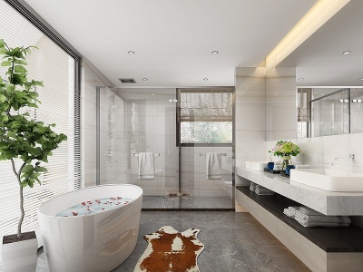 现代卫生间浴屏浴缸模型3d模型