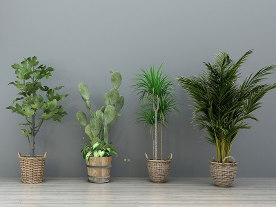 3d现代绿植盆栽盆景模型