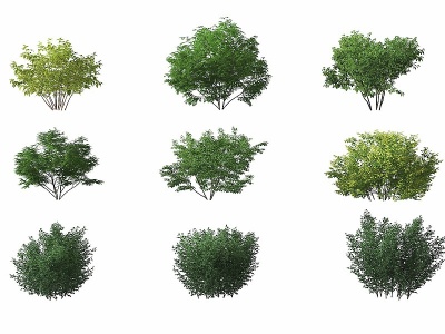 3d现代绿植灌木,矮树模型