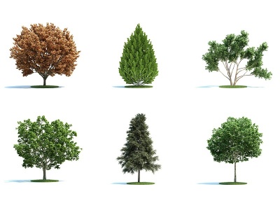 现代景观树木3d模型