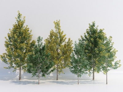 植物乔木模型3d模型