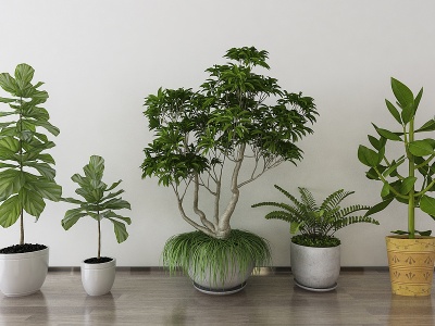 3d植物盆栽模型