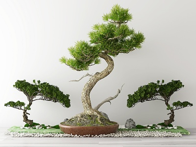 中式盆栽绿植盆景模型