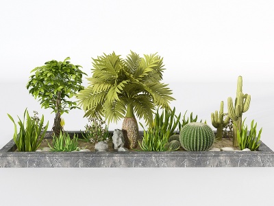 3d园林植物<font class='myIsRed'>花池</font>仙人掌球小品模型