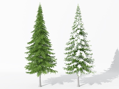 现代景观植物雪景树雪松模型3d模型