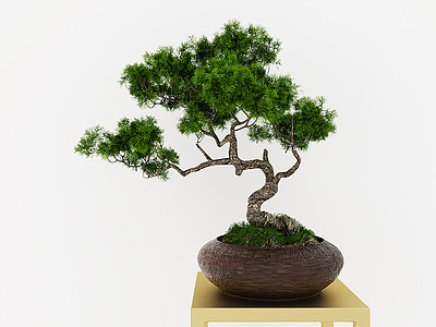 盆栽绿植摆件松树摆件模型3d模型