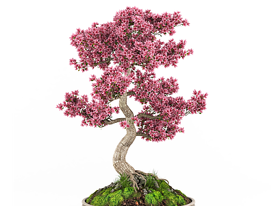 新中式植物盆栽模型3d模型