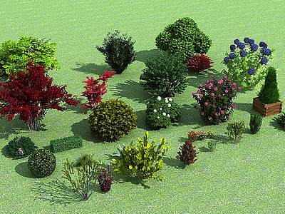 灌木乔木小树花草树种合集模型3d模型