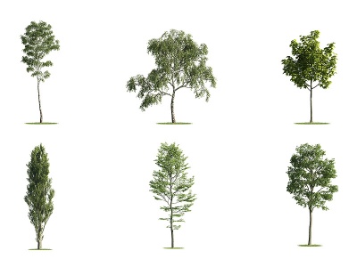 3d景观树木<font class='myIsRed'>户外树</font>木庭院树木模型